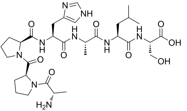 RS 09