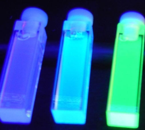 FITC荧光标记过氧化氢酶；FITC-Catalase；FITC-CAT