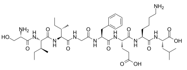 OVA G4 peptide