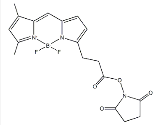 BDP FL NHS ester