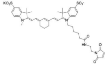 Sulfo-Cy5马来酰亚胺荧光染料;  磺酸基-Cy5马来酰亚胺