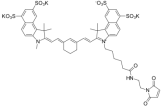 近红外染料Cy7.5-maleimide；  SF Cy7.5-MAL