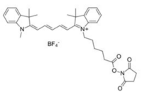 Cy5 NHS ester;  近红外菁染料Cyanine5-NHS