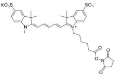 Sulfo-Cy5 NHS ester；​  Cy5 NHS酯(脂溶性)