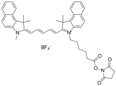 Cy5.5 NHS ester;  近红外菁染料Cyanine5.5-NHS​