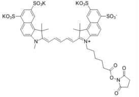 Sulfo-Cy5.5 NHS ester;  Sulfo-Cyanine5.5 NHS酯