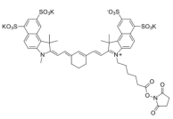 Sulfo-Cy7.5 NHS ester;​  Sulfo-Cyanine7.5 NHS ester