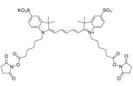 Cy5-NHS酯(脂溶性);  Sulfo-Cy5 bis- NHS ester
