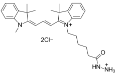 Sulfo-CY5.5-hydrazide;  磺基花青5.5-HZ