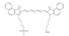 ICG Carboxlaic acid；  近红外染料ICG 标记羧酸基团