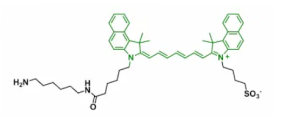 ICG-NH2荧光探针;  ICG-NH2