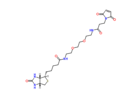 cas:305372-39-8 Biotin-PEG2-Mal 生物素二聚乙二醇马来酰亚胺