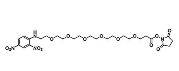 DNP-PEG6-NHS ester 2,4-二硝基苯胺-六聚乙二醇-NHS酯