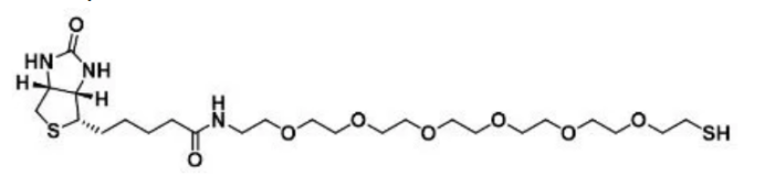 Biotin-PEG6-SH 生物素-六聚乙二醇-巯基