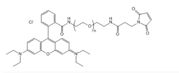 RB-PEG-Mal 罗丹明聚乙二醇马来酰亚胺