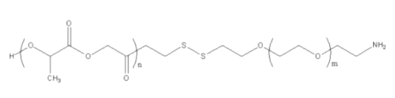 PLGA-SS-PEG-NH2