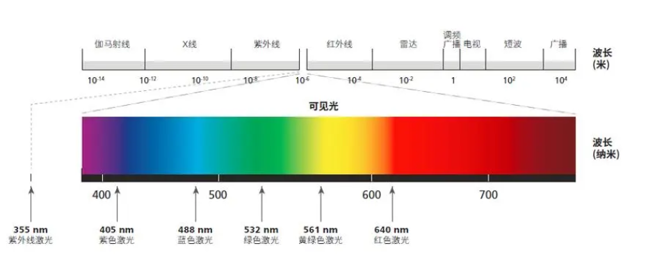 Alexa Fluor 647标记牛血清白蛋白，荧光标记蛋白-齐岳