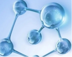 橘色Phalloidin-iFluor 555 Conjugate，鬼笔环肽-iFluor 555偶联物