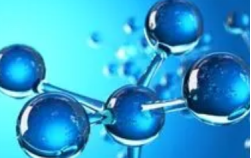 齐岳Phalloidin-iFluor 594 Conjugate，鬼笔环肽-iFluor 594标记