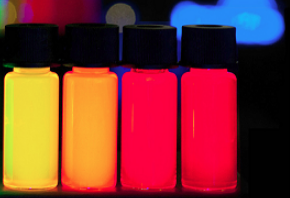 定制Alexa Fluor 594 标记鬼笔环肽（红色），Phalloidin-iFluor 594多肽试剂