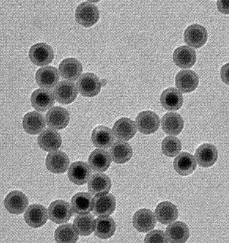 羧基PEG化上转换发光纳米颗粒
