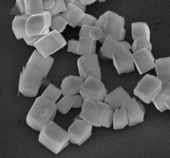 羧基化上转换纳米粒子（980激发，绿光）