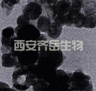 无表面基团上转换纳米颗粒，激发980，发射460，2mg/ml