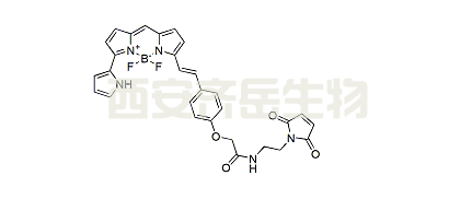 BDP 650/665 maleimide