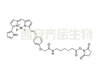 BDP 650/665 X NHS ester CAS: 1616842-78-4