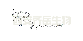 CAS: 2183473-03-0 BDP FL amine