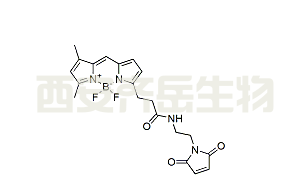 BDP FL maleimide