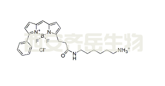 BDP R6G amine,CAS: 2183473-06-3