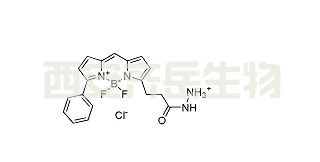 BDP R6G hydrazide