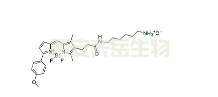 BDP TMR amine,CAS: 2183473-09-6