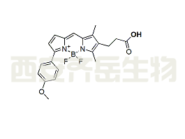 BDP TMR carboxylic acid,CAS: 287384-28-5