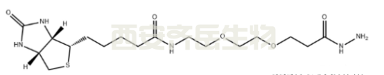 Biotin-PEG2-hydrazide  
