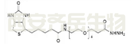Biotin-PEG4-hydrazide