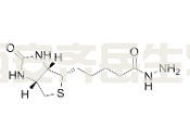 生物素酰肼	  