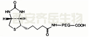 生物素-PEG-COOH 