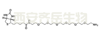 Biotin-PEG6-Amine    