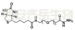 Biotin-PEG-hydrazide 