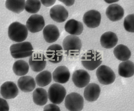 生物素修饰的金纳米微球40nm  