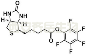 PFP-BIOTIN,五氟苯酚生物素酯 