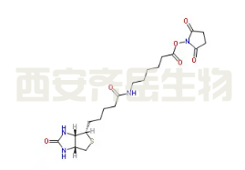 6-生物素氨己酸N-琥珀酰亚胺酯 