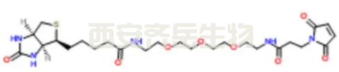  Biotin-PEG3-Maleimide