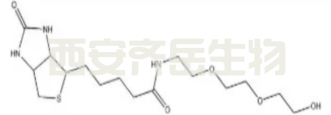 生物素三聚乙二醇羟基  