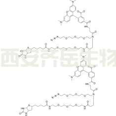 TAMRA-叠氮-聚乙二醇-生物素 