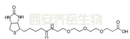 生物素三聚乙二醇丙酸  