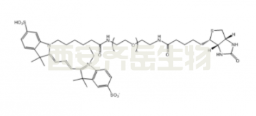 花青素Cy3-聚乙二醇-生物素  