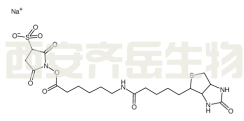 Sulfo-NHS-LC-Biotin sodium  